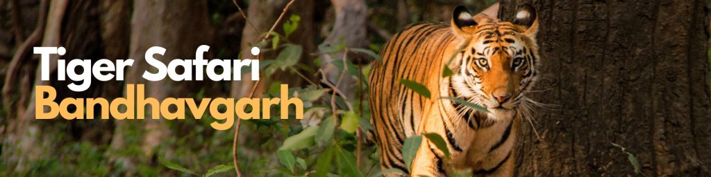 Bandhavgarh Tiger Safari - Hotel List Of Bandhavgarh - Package Tours