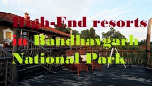 High-End-Luxury-Resort-Bandhavgarh